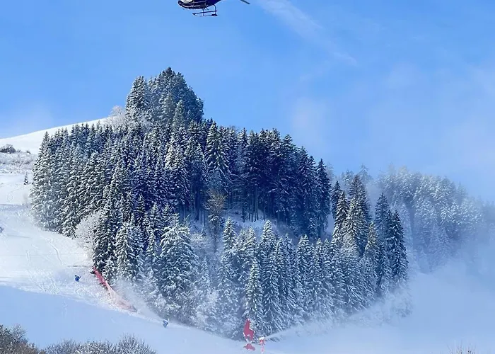 شاليه Belle Kaiser By Belle *